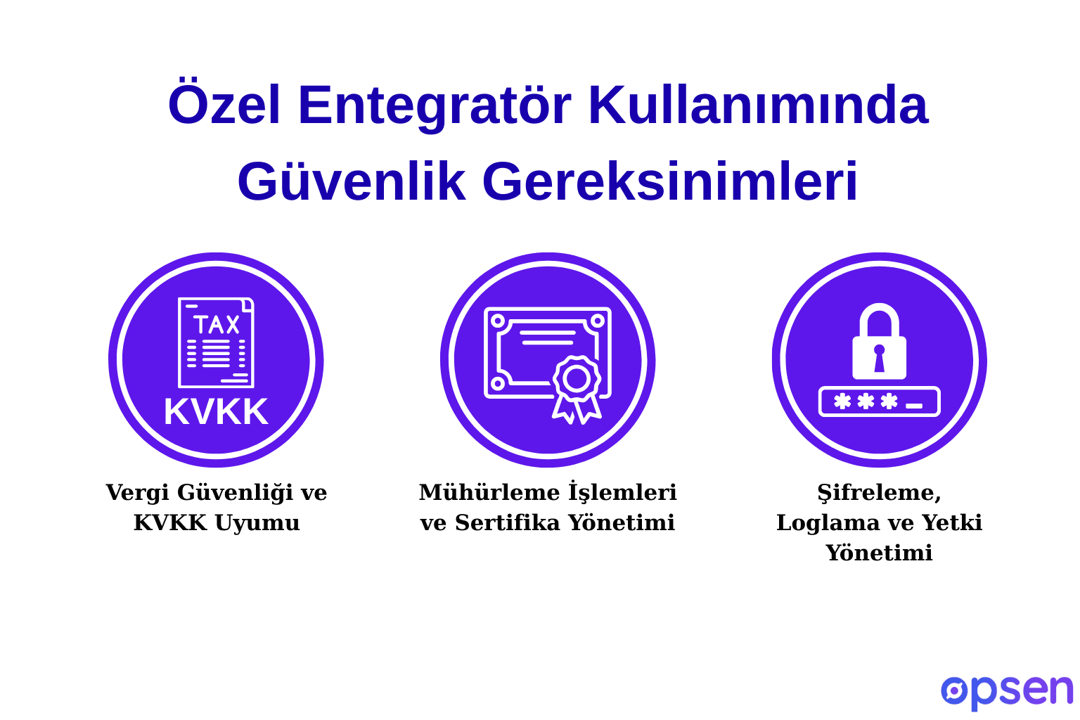 Özel Entegratör Kullanımında Güvenlik Gereksinimleri