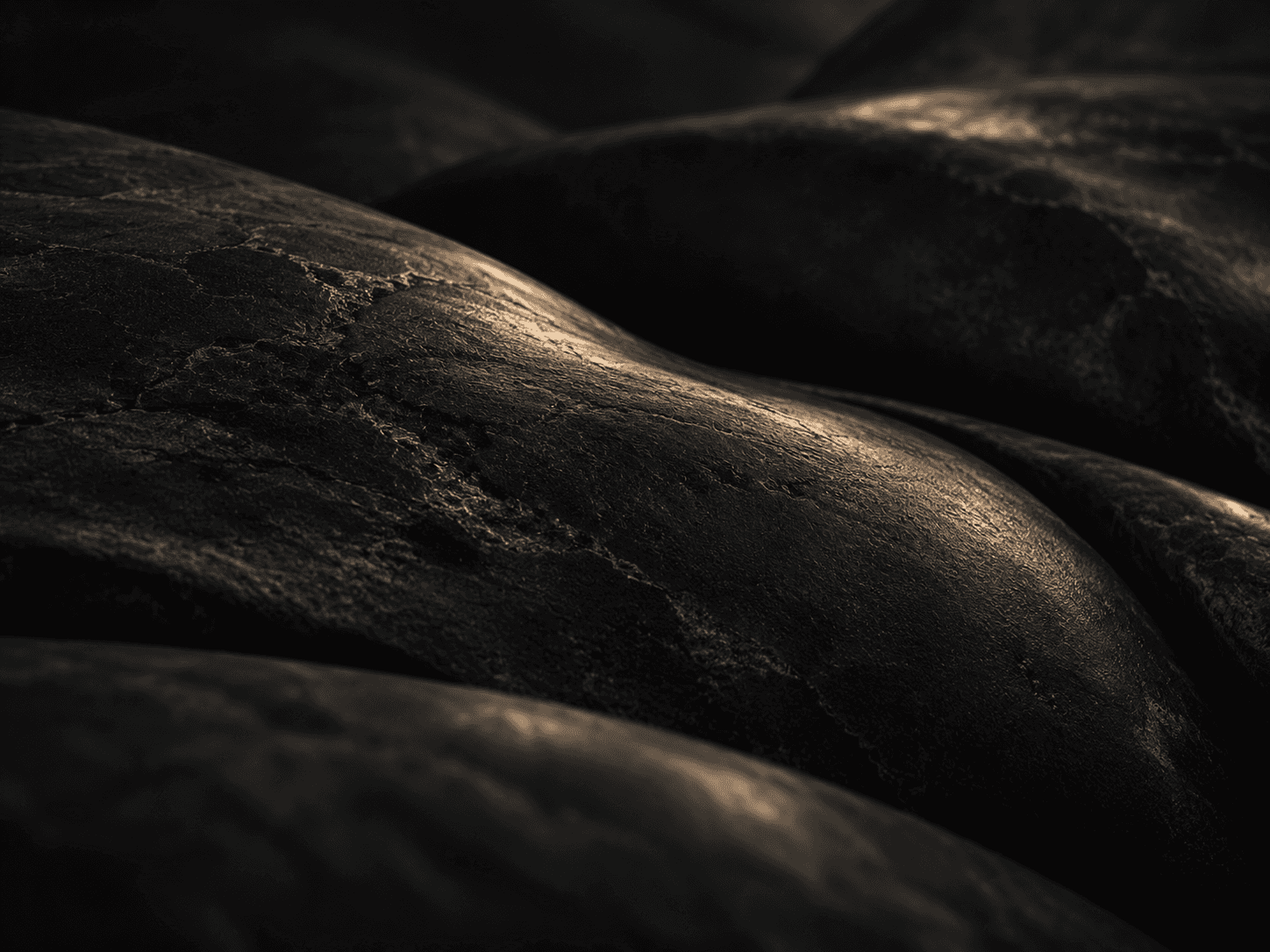 Close-up of smooth dark stone with soft highlights