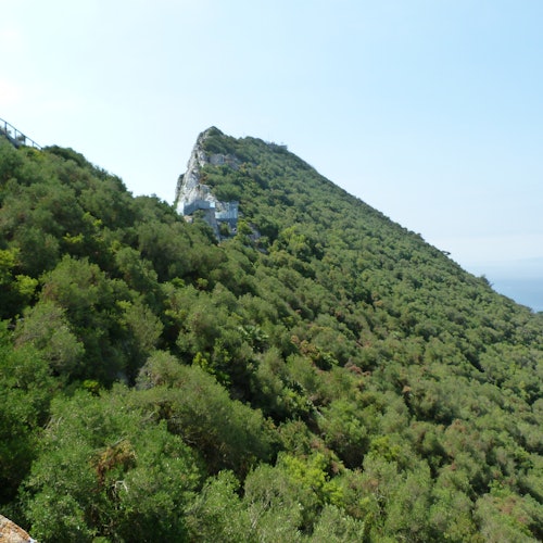 從馬拉加：直遊直入直通直通直入負責通行票