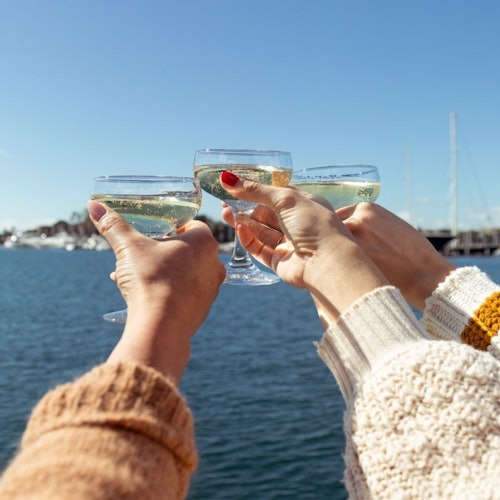 Three hands holding champagne glasses in a toast, with a scenic waterfront and boats in the background on a sunny day.