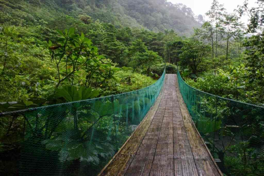 Suspension bridge, Costa Rica