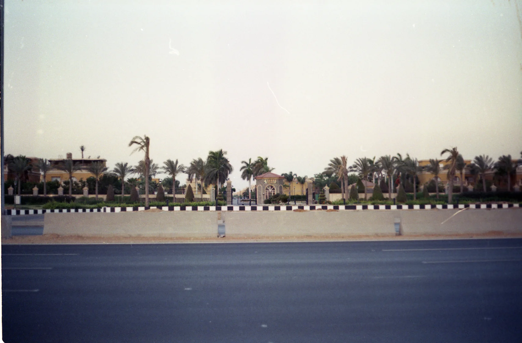 Palms Across the Highway