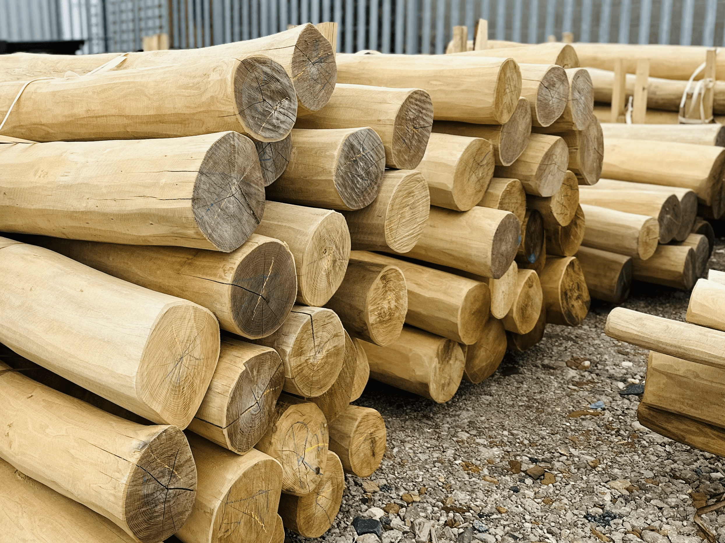 Durable robinia wood for outdoor use