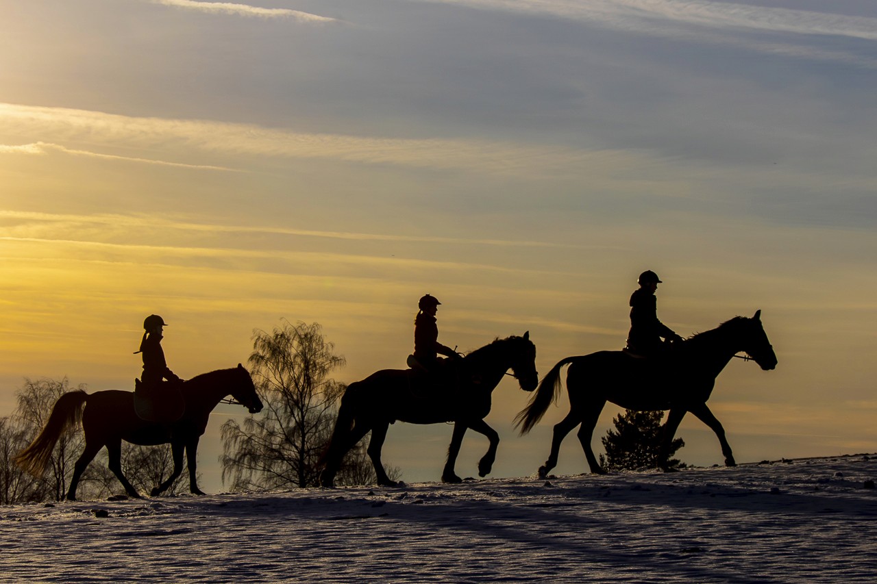 Geführter Ritt im Mühlviertler Kernland bei Sonnenuntergang mit Reitern und Pferden in winterlicher Landschaft