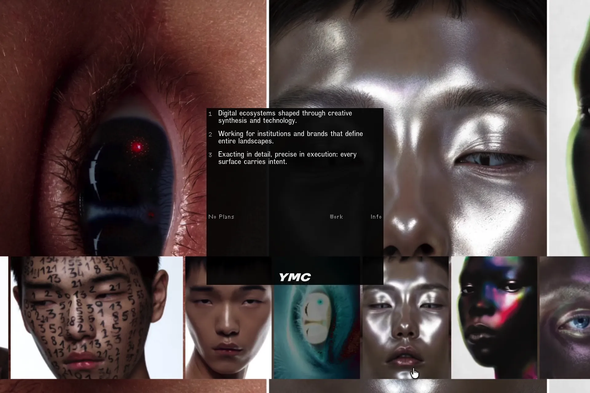 Screenshot of No Plans website