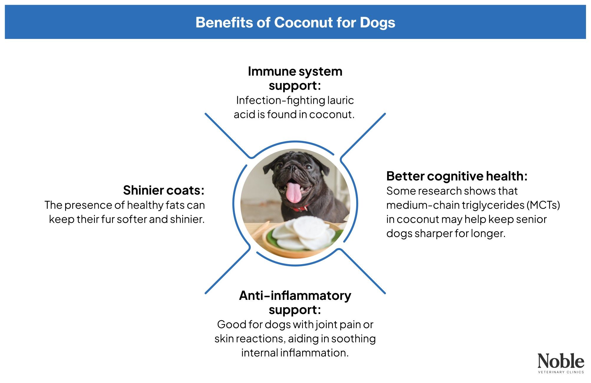Benefits of coconut to dogs
