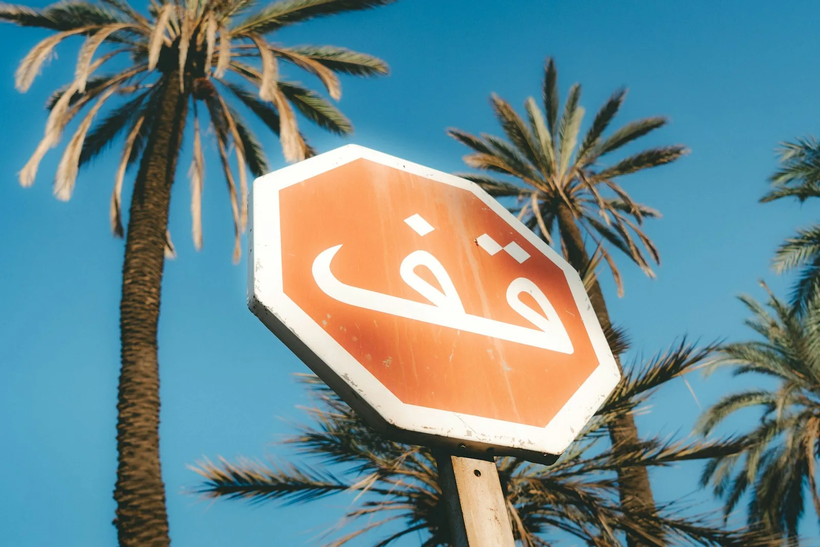 A faded red octagonal stop sign lettered in Arabic script, seen from below against tall palm trees and a clear blue sky
