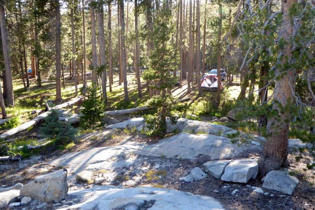 Yosemite Creek campground
