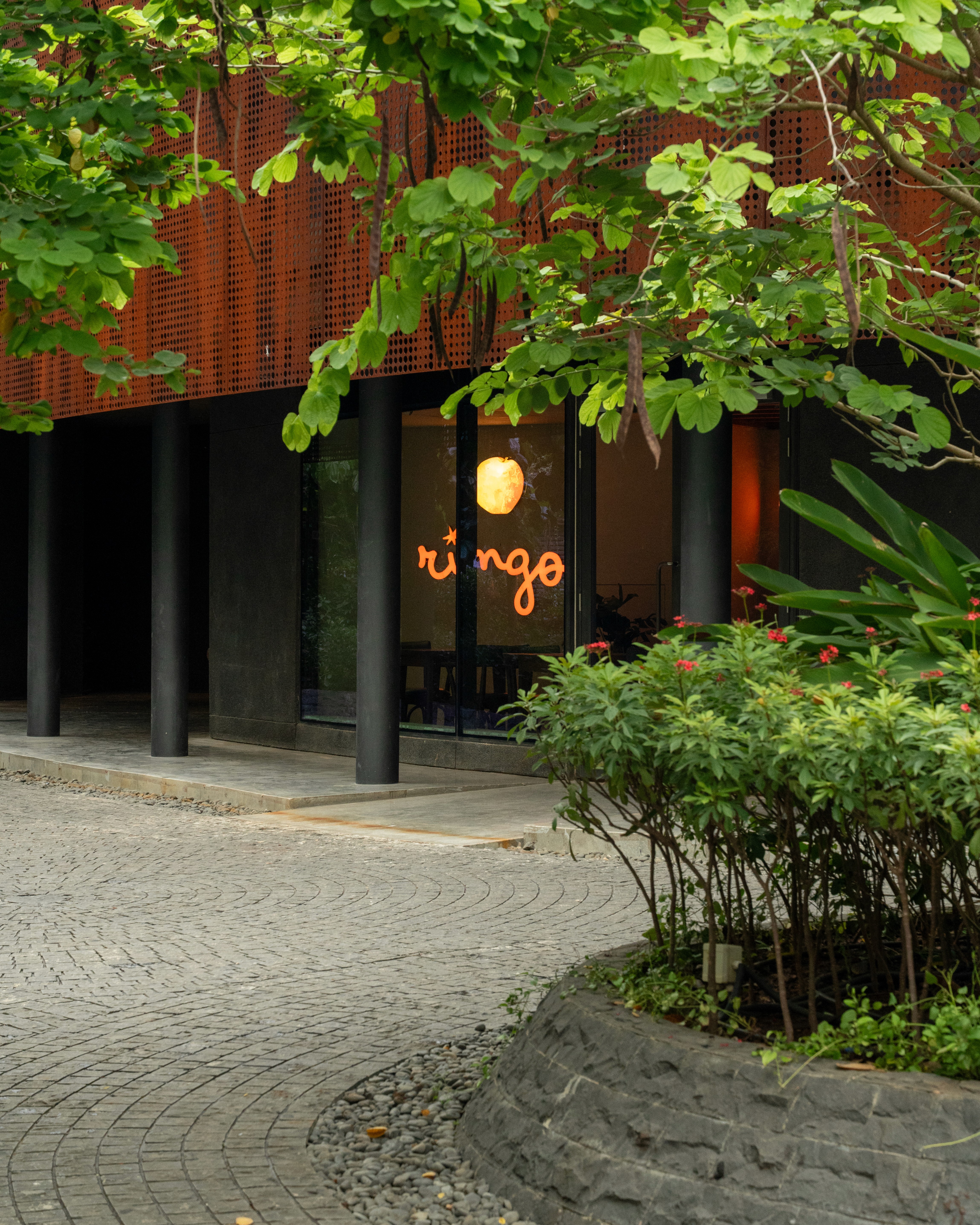 Ringo — image 2