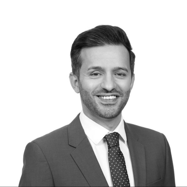 Ali Cambel, Professor of SAP