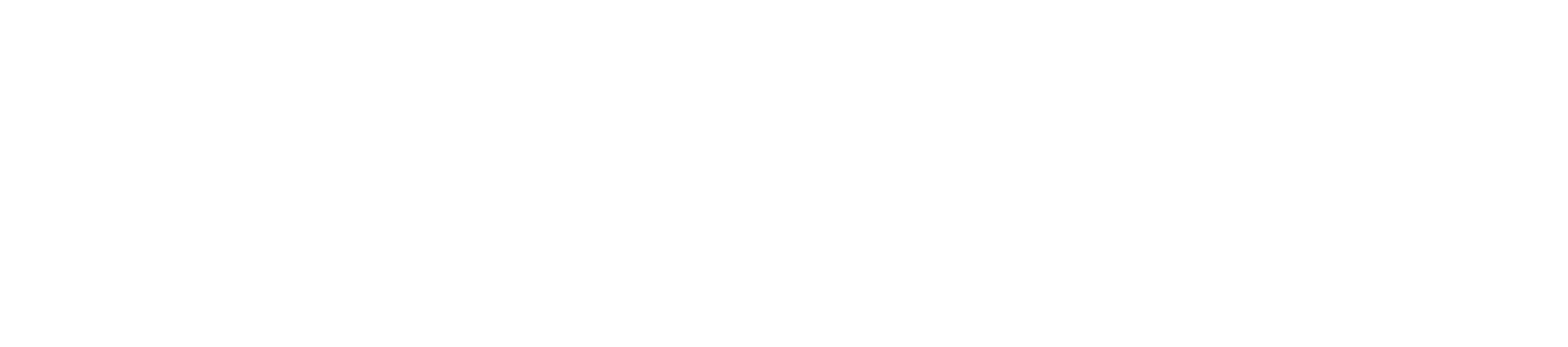 Brian  logo