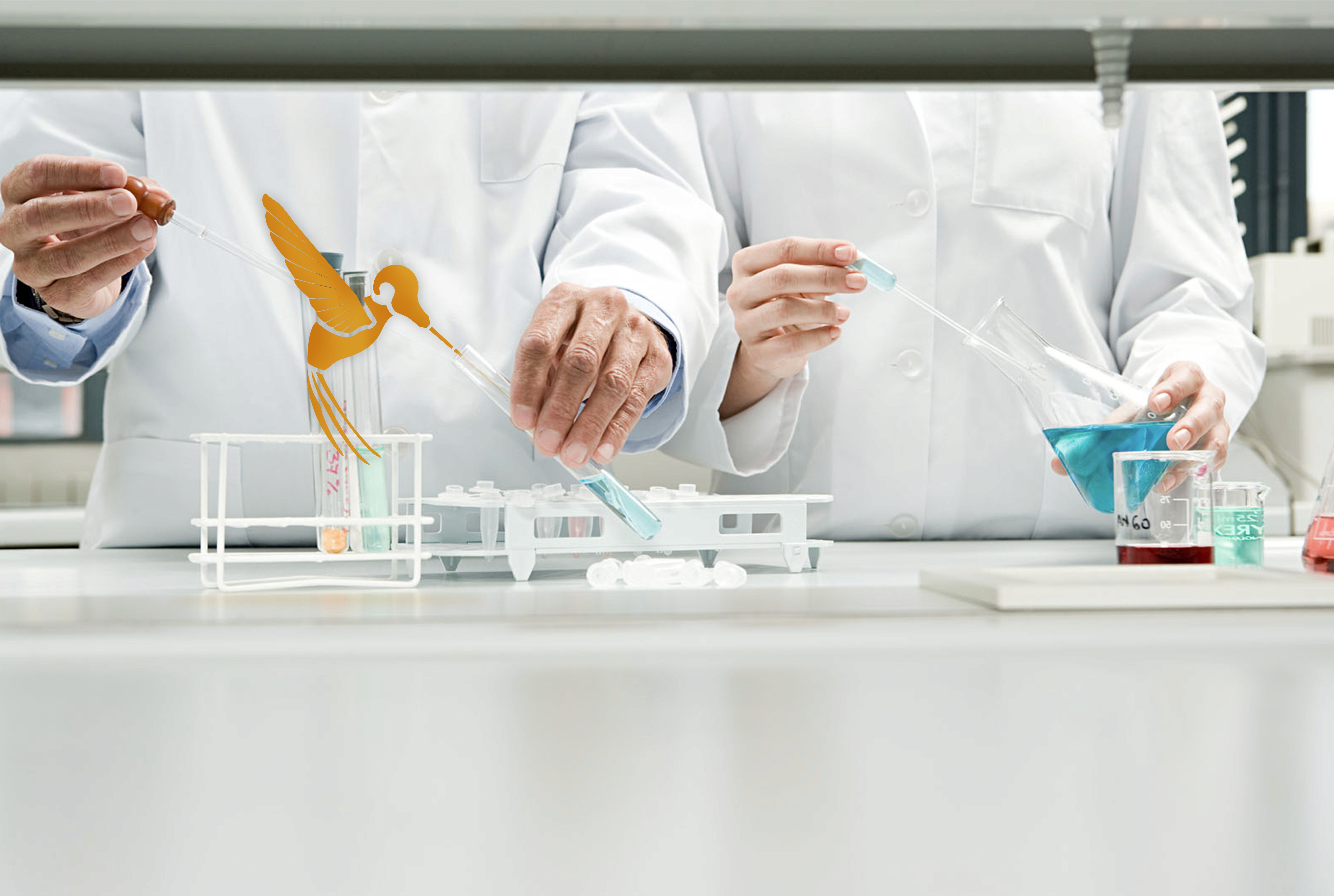 Two people working  with pipettas and glass equipment