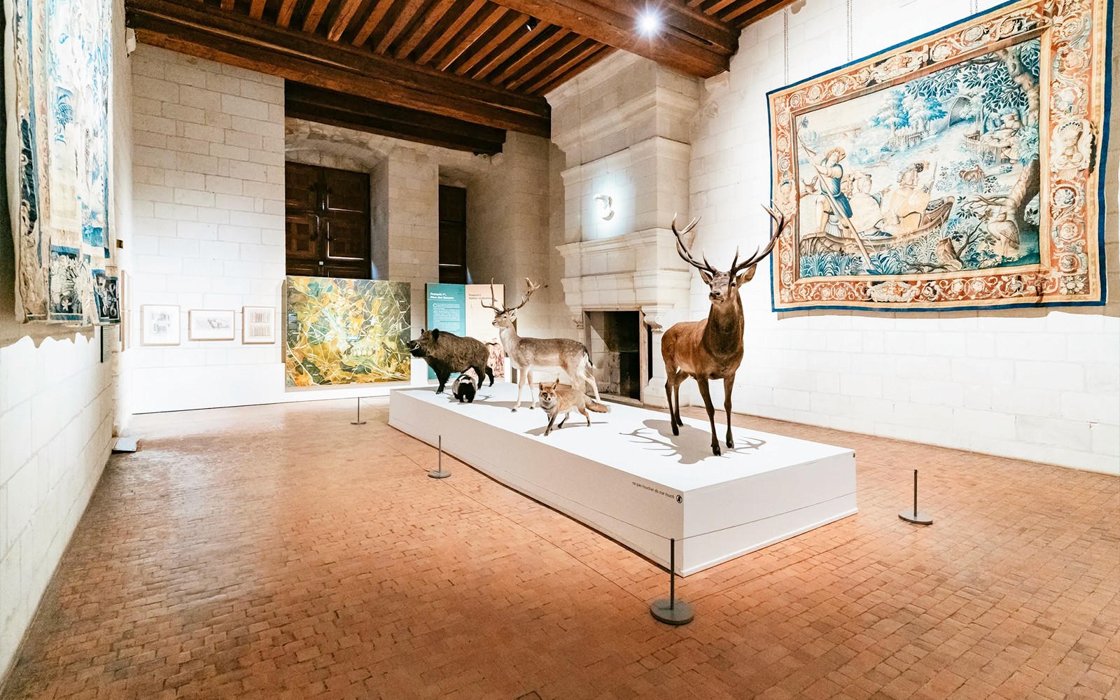 Taxidermy animal display and tapestries in Chambord Castle exhibit hall.