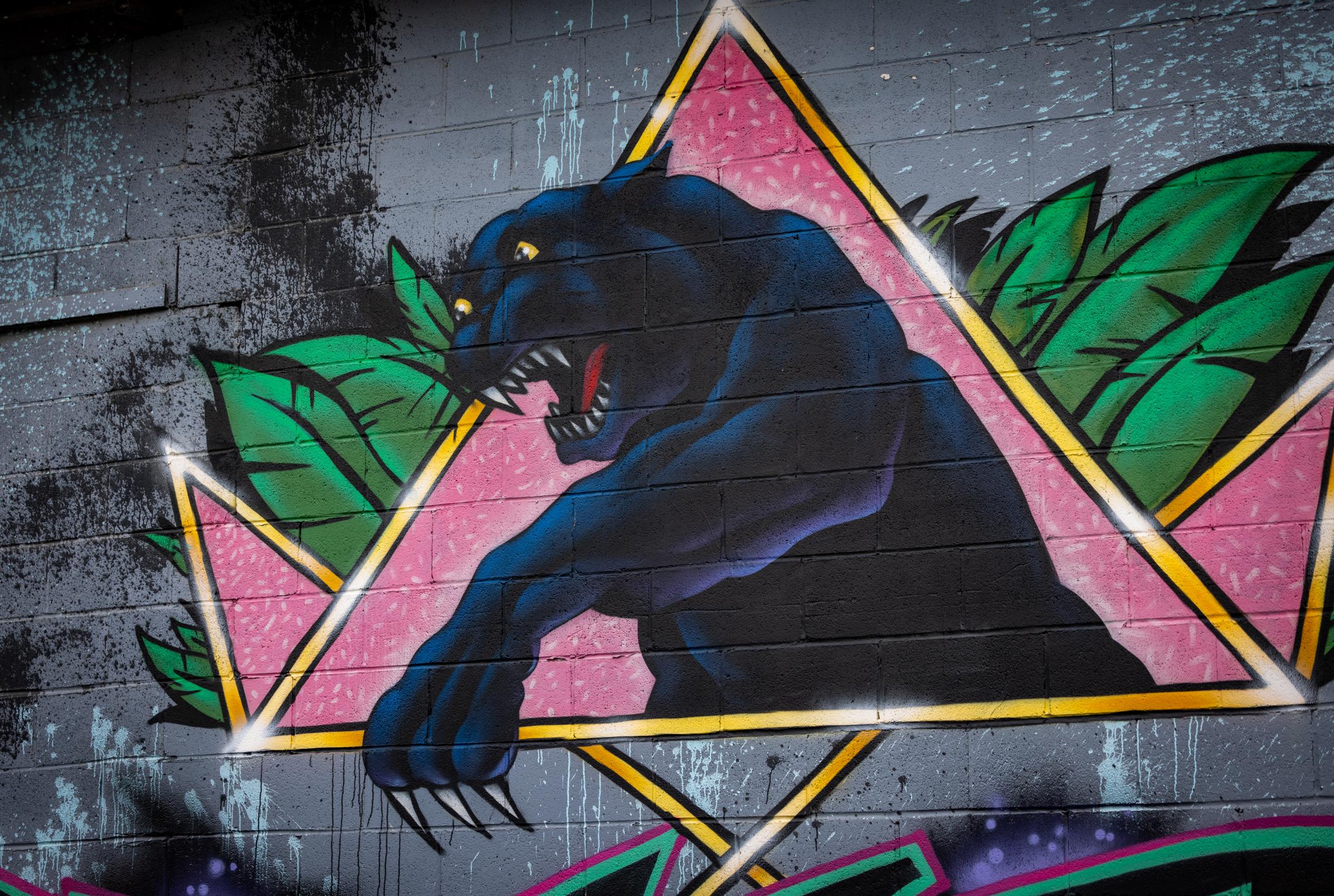 River Arts District - (SMA) Nautus Kaupus Panther Graff - Asheville, NC