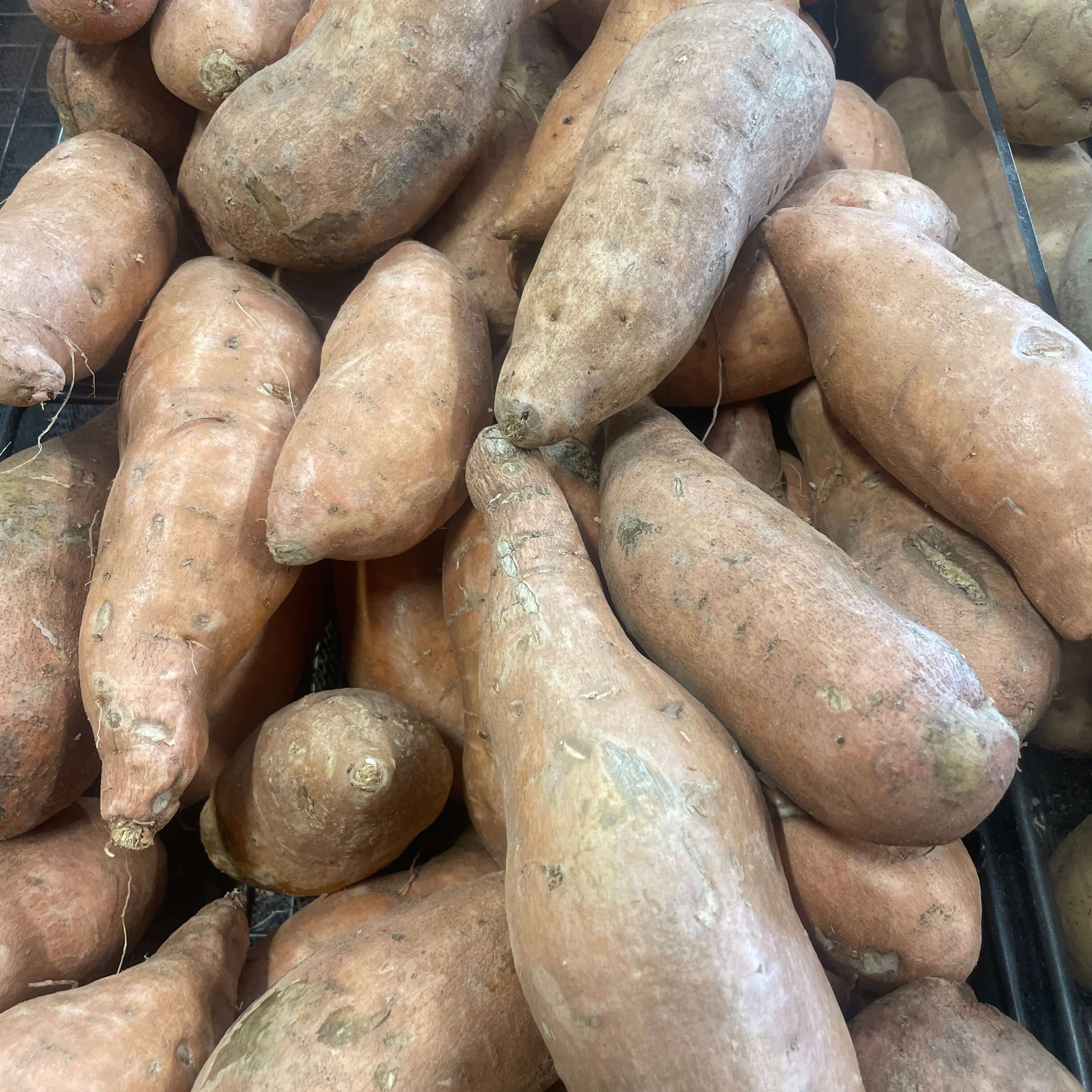 Sweet potatoes in the fresh produce section of International Food Market Orlando.