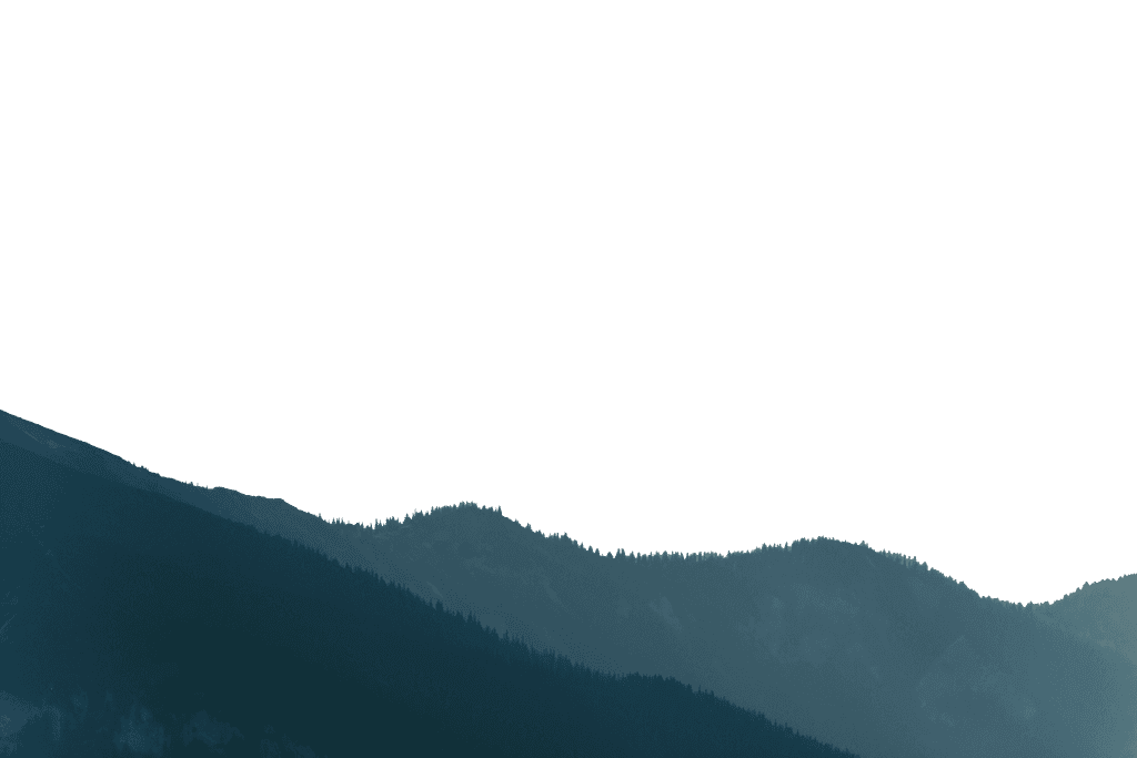 Allegro Investment Fund