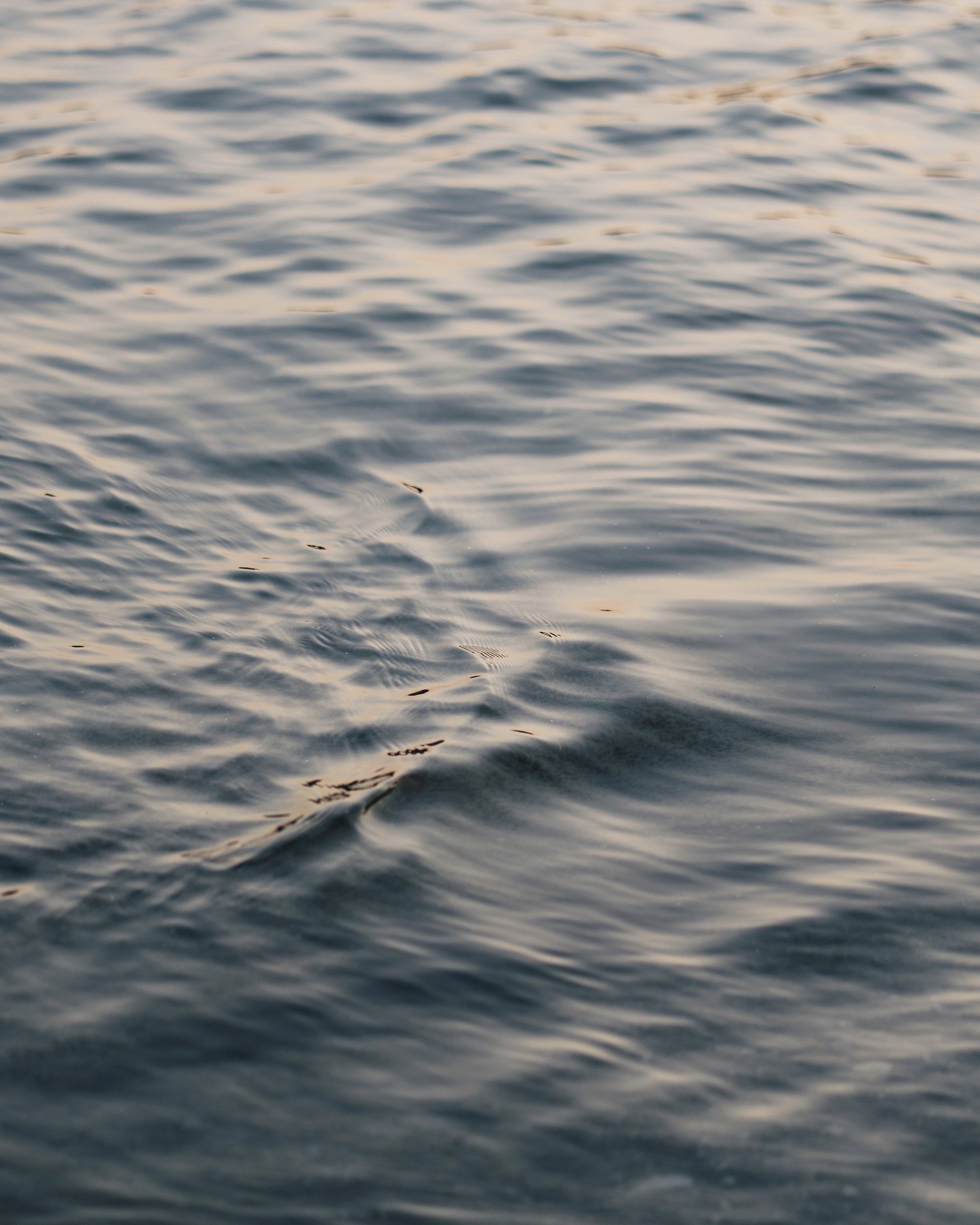 Photo des vagues du lac de Lugano en fin de journée