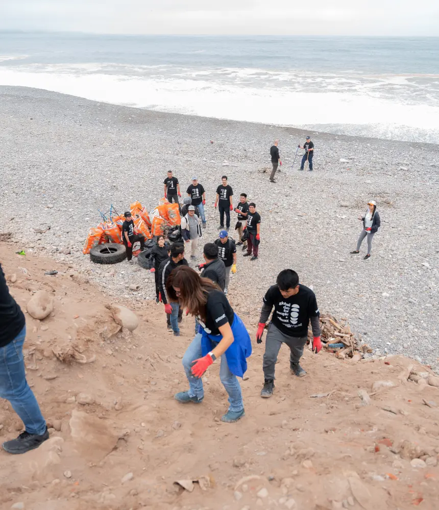 Voluntarios haciendo limpieza