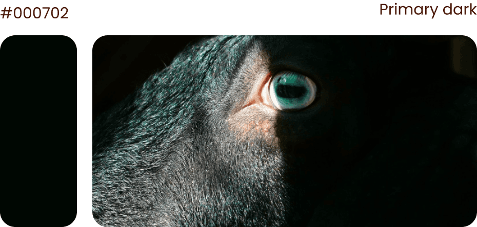 Color palette for components used in Telespor redesign (black)