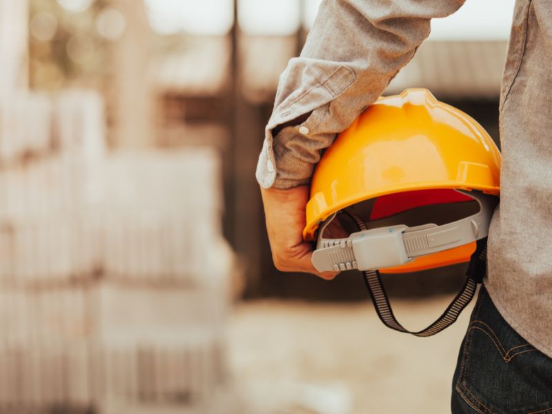 Close-up of lush, dark green leaves, some glossy and wet, against a muted background.