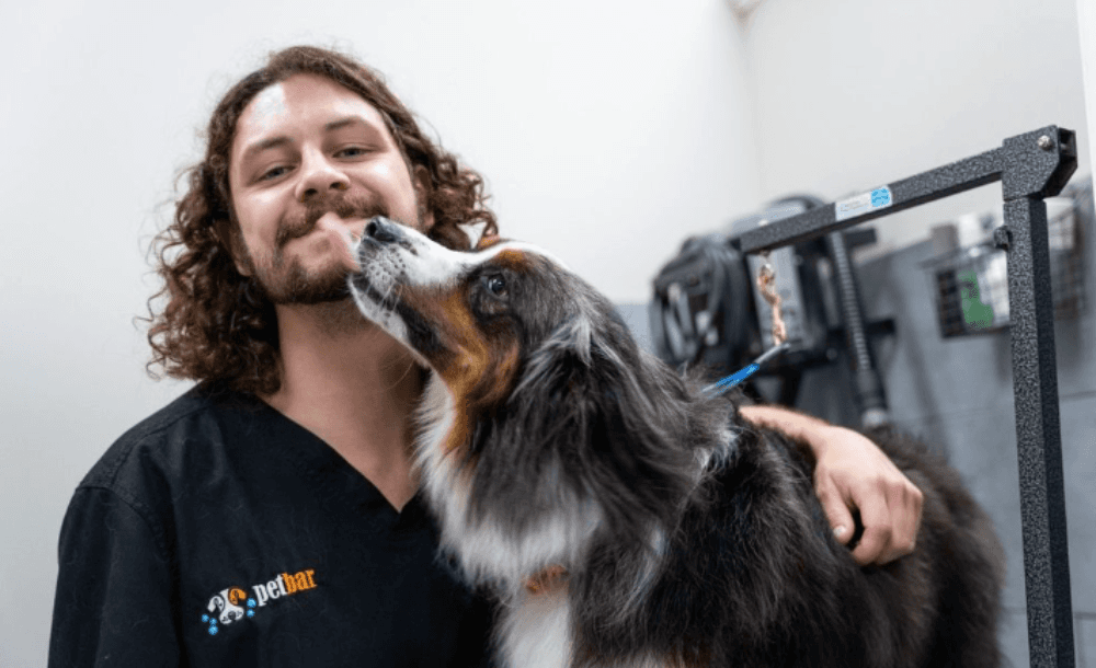 petbar dog groomer with dog
