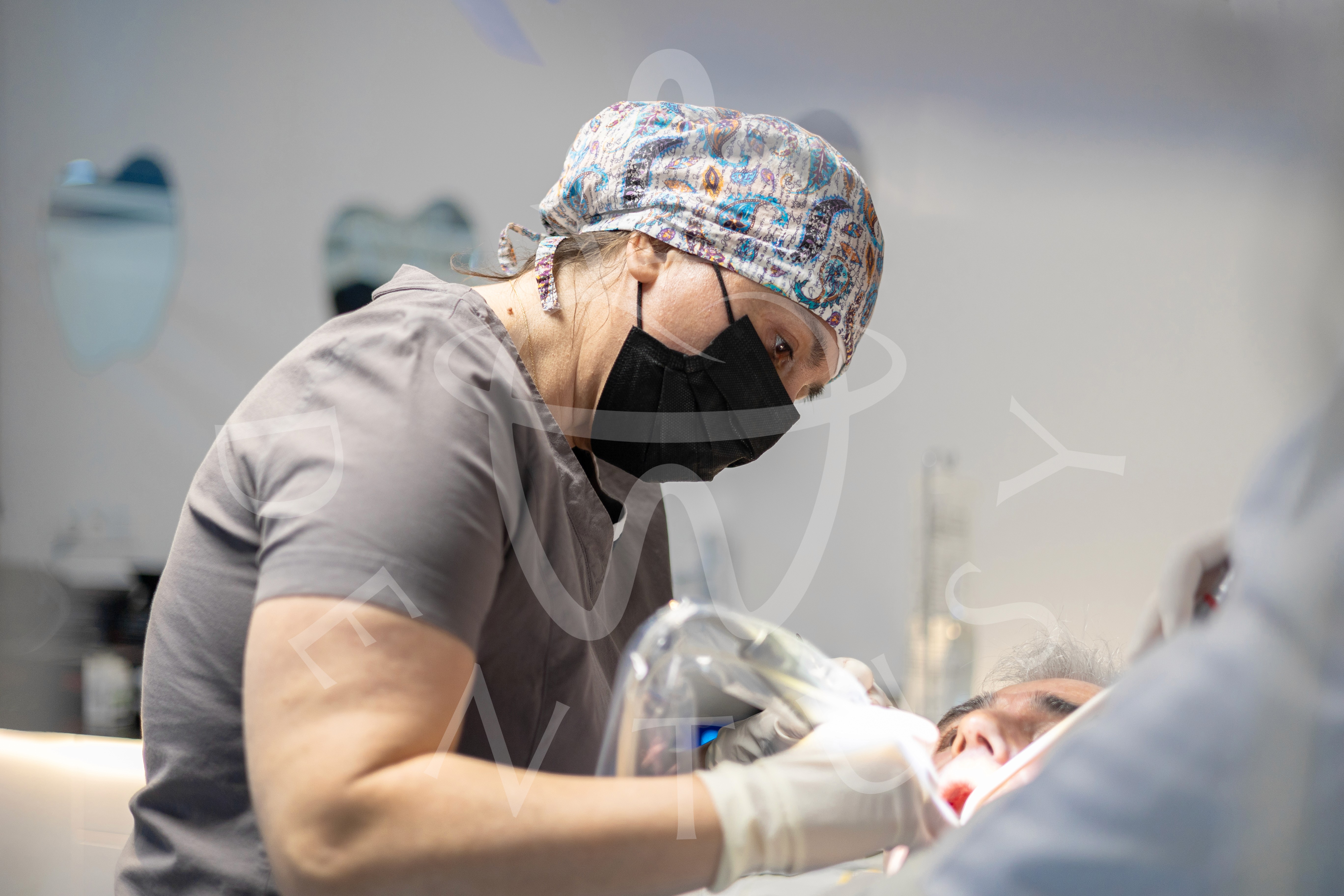 Here comes the alt text