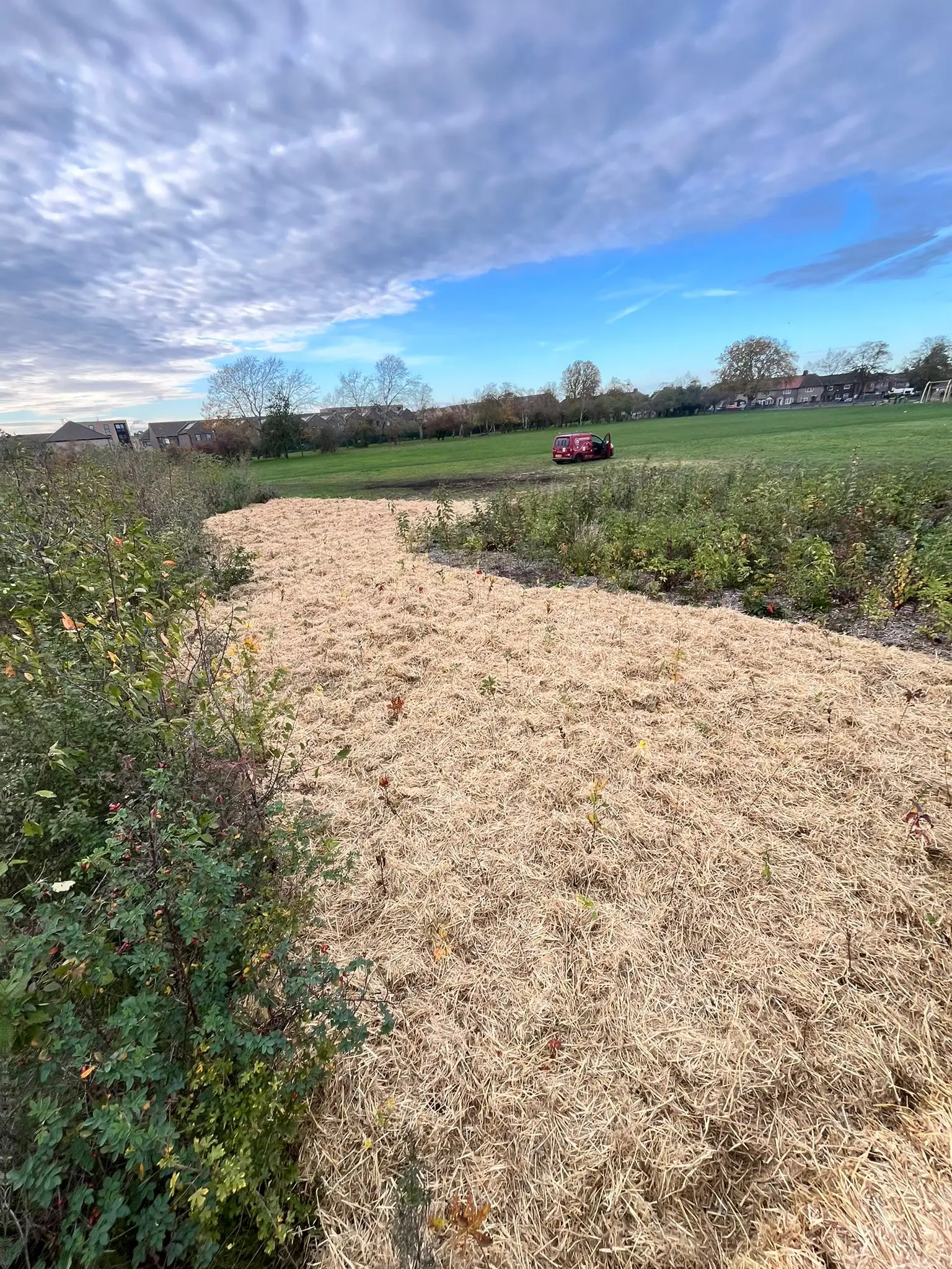 A winding sandy path leads through a grassy field under a partly cloudy sky.