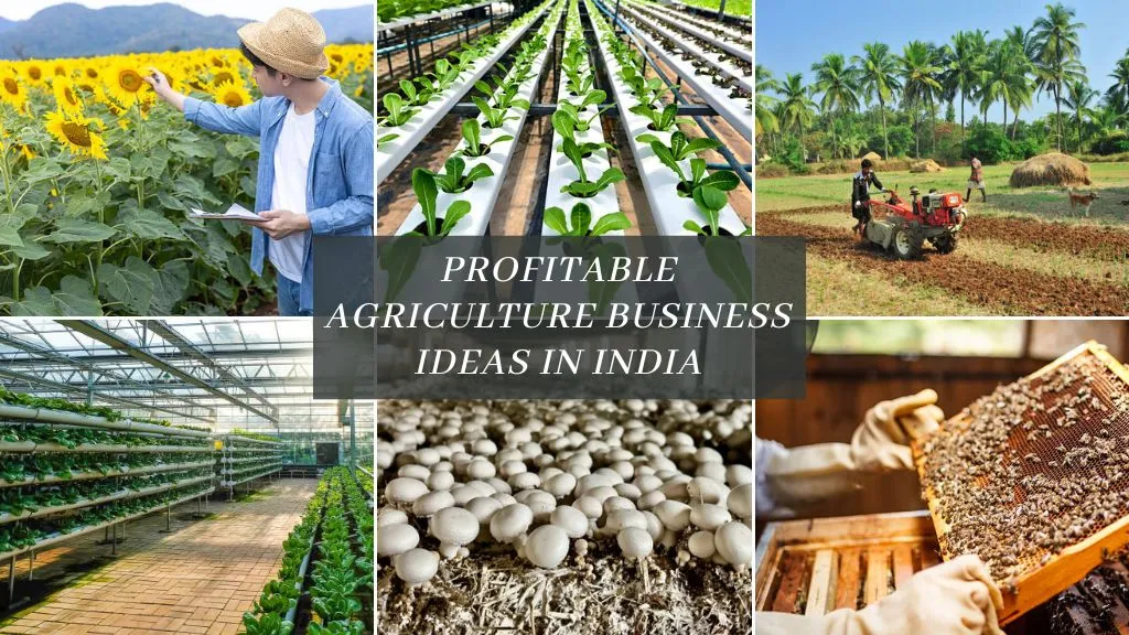 Profitable Agriculture Business Ideas in india