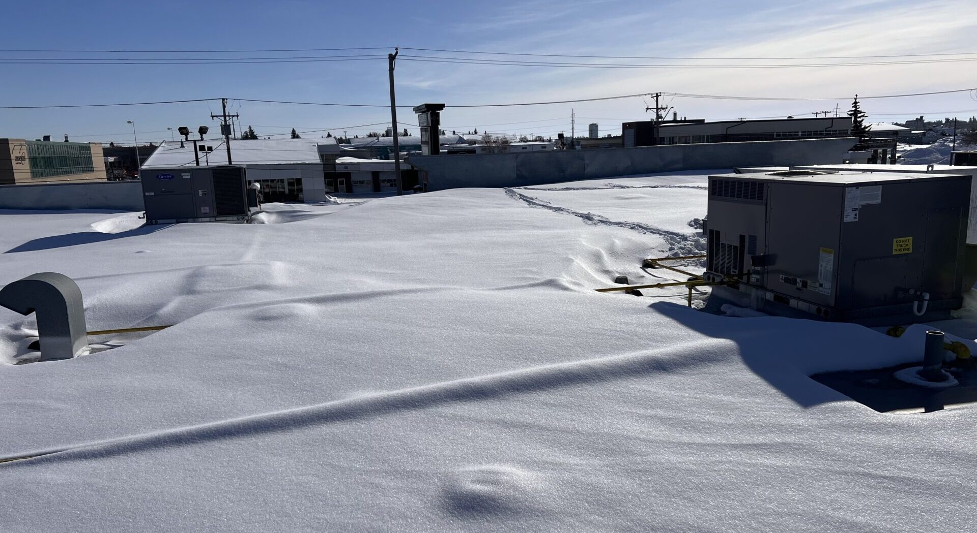 A man riding a skateboard down a flight of stairs