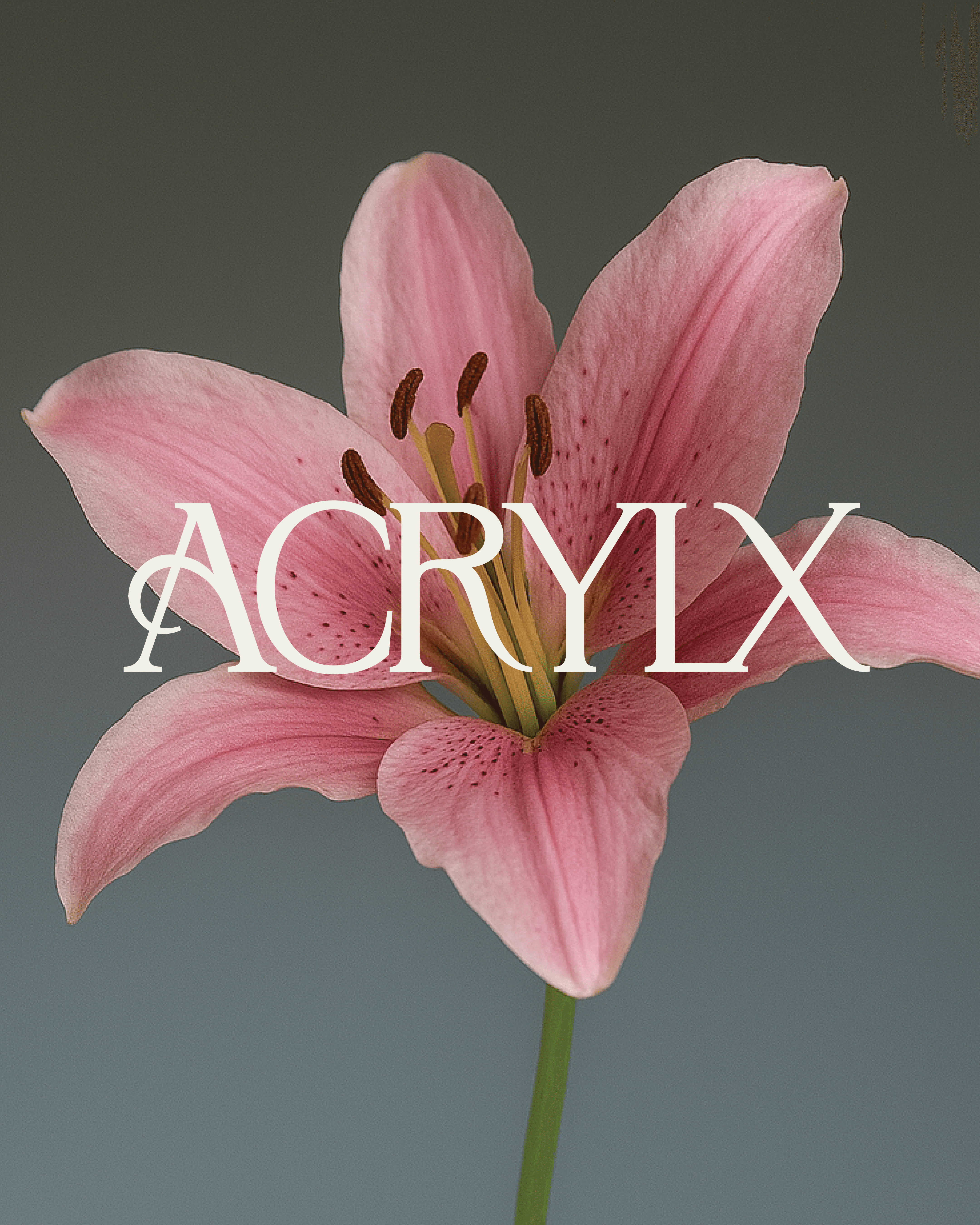 Acrylx Wordmark