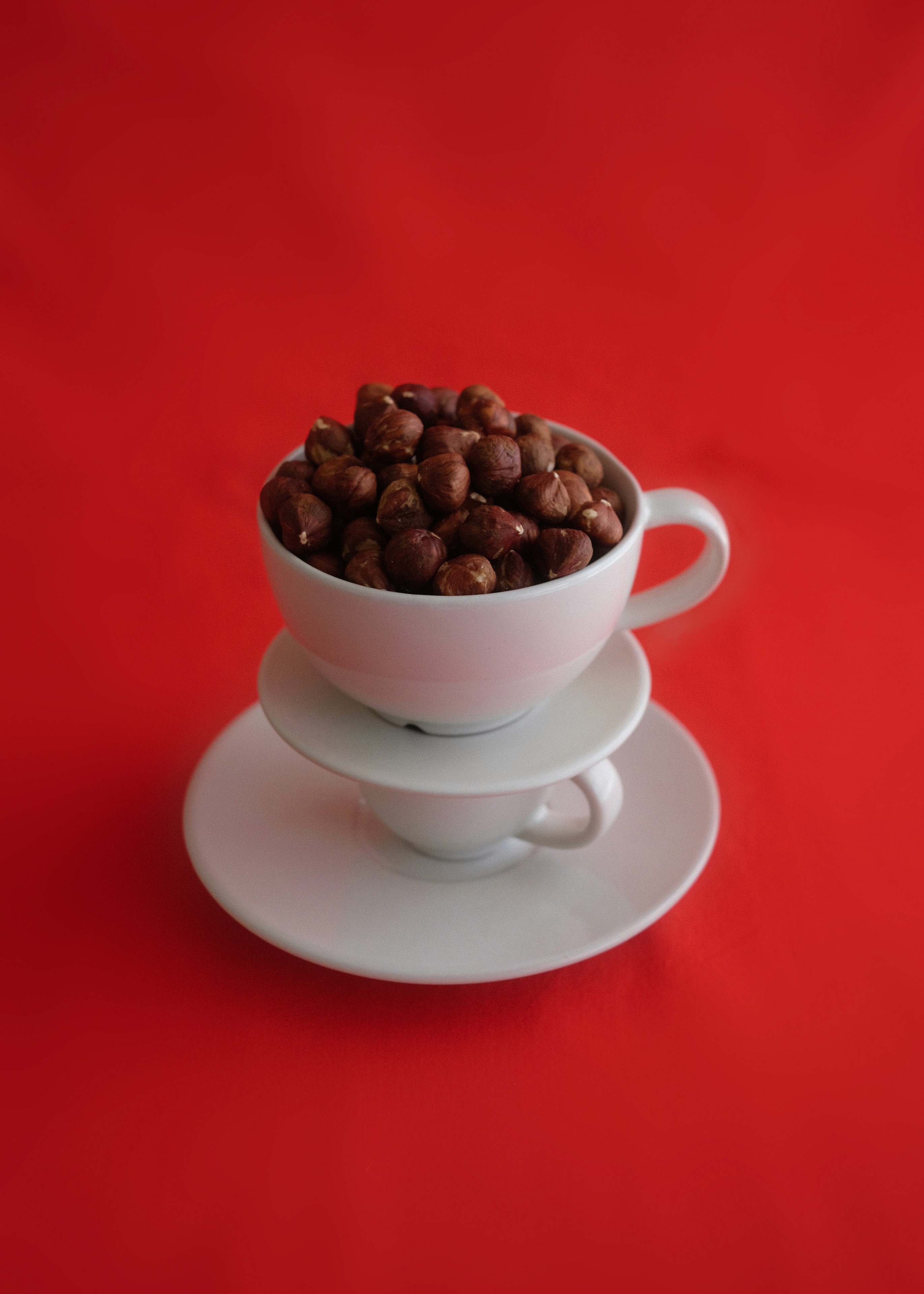 photography by selina donohoe