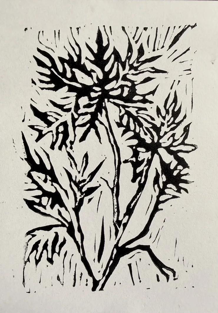 llorasangre, árbol grabado en negro