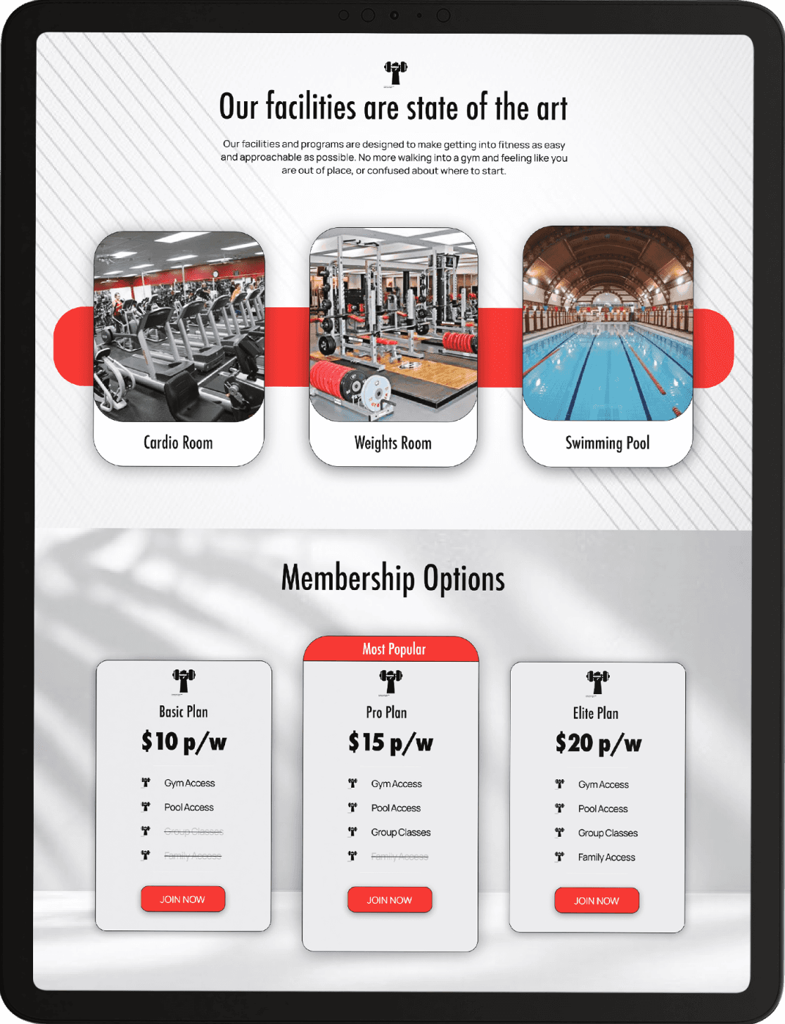 Screen capture of a website design for a gym