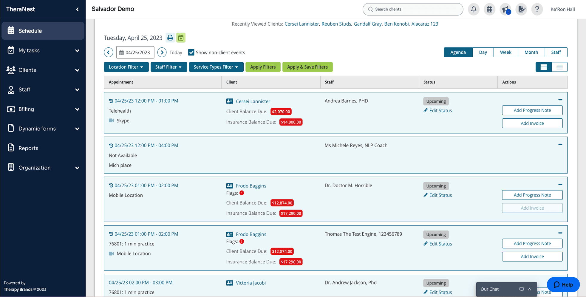 TheraNest scheduling dashboard showing a list view of client appointments with filters, client names, appointment times, staff assignments, and status indicators.