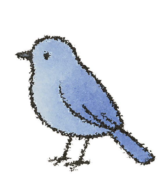 A small, light blue bird with a round body and short tail, standing on a surface.