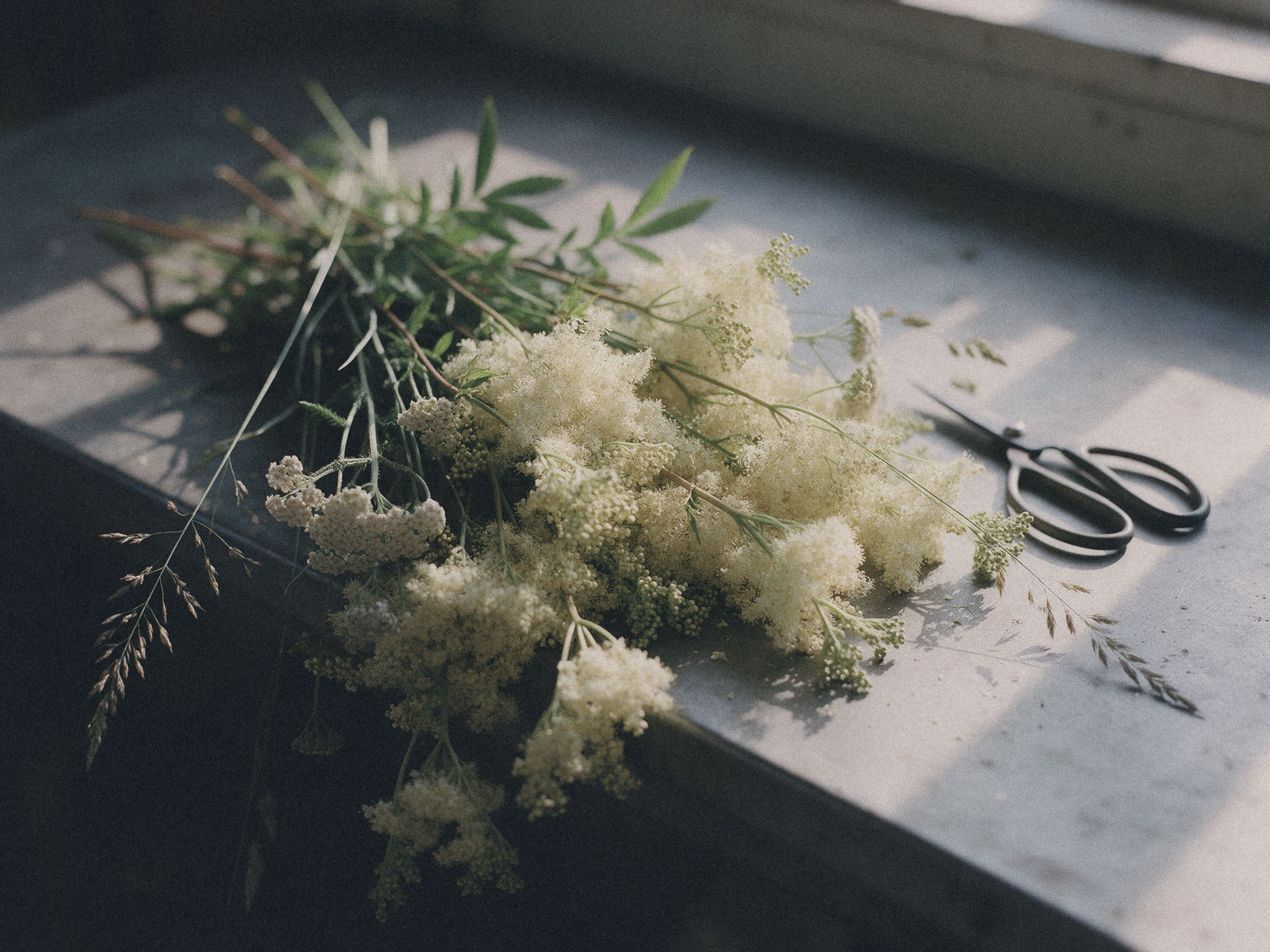 An armful of cut meadowsweet and ditch grasses on a steel worktop beside a pair of scissors