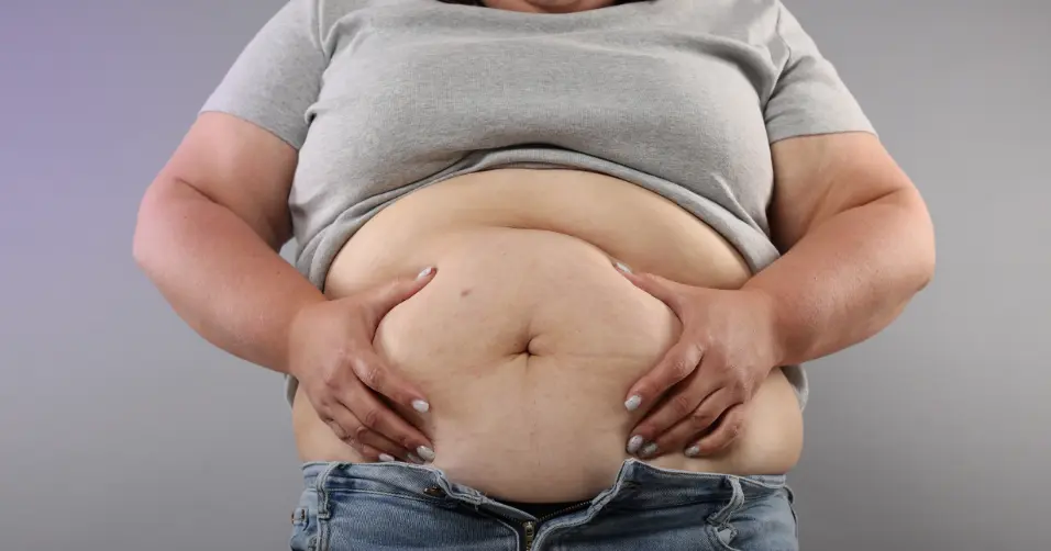 Visceral fat is fat stored around organs, linked to metabolic disease.