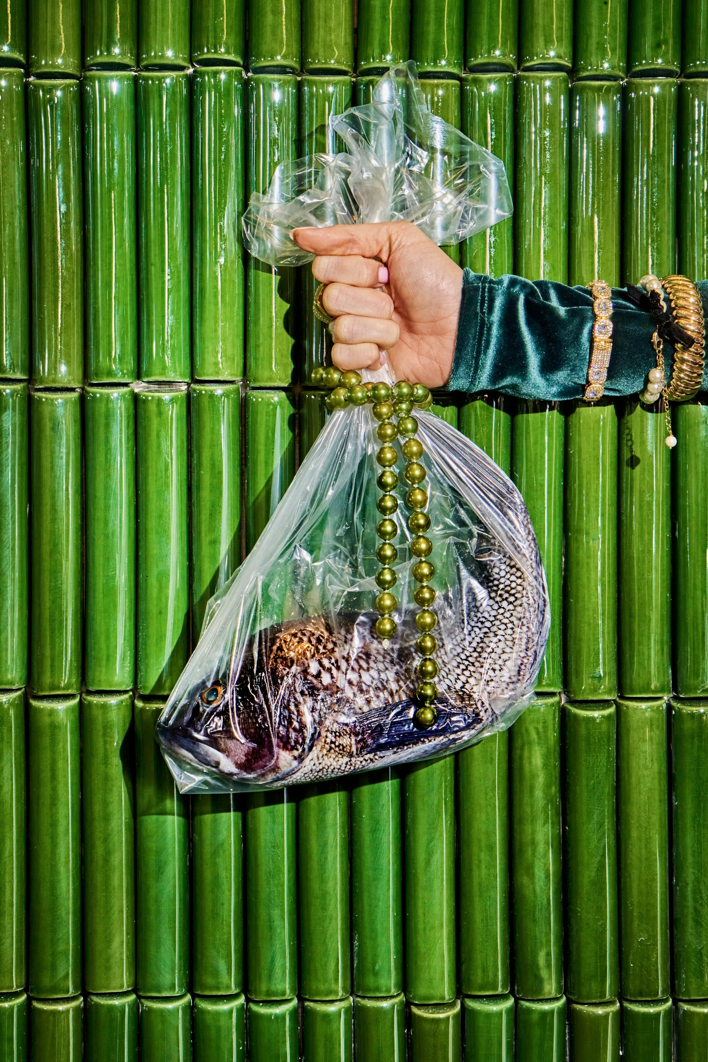 Fish and pearls in a clear bag against green tiles