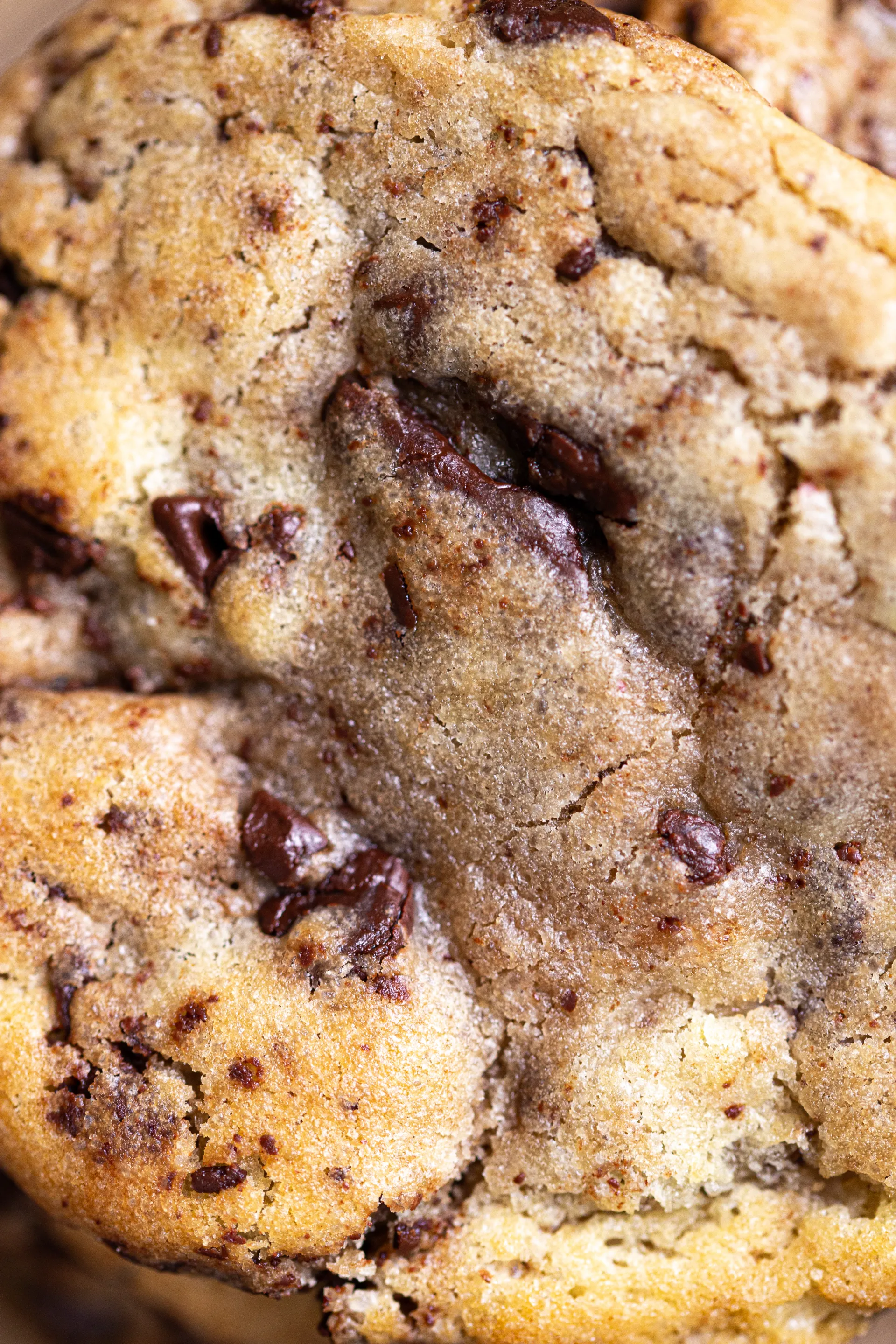 cookie en gros plan