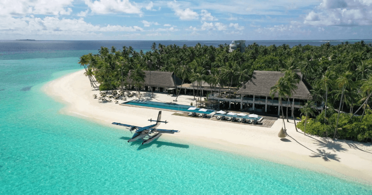 A beachfront resort surrounded by palm trees, featuring a long pool and sun loungers overlooking clear turquoise waters and a white-sand beach