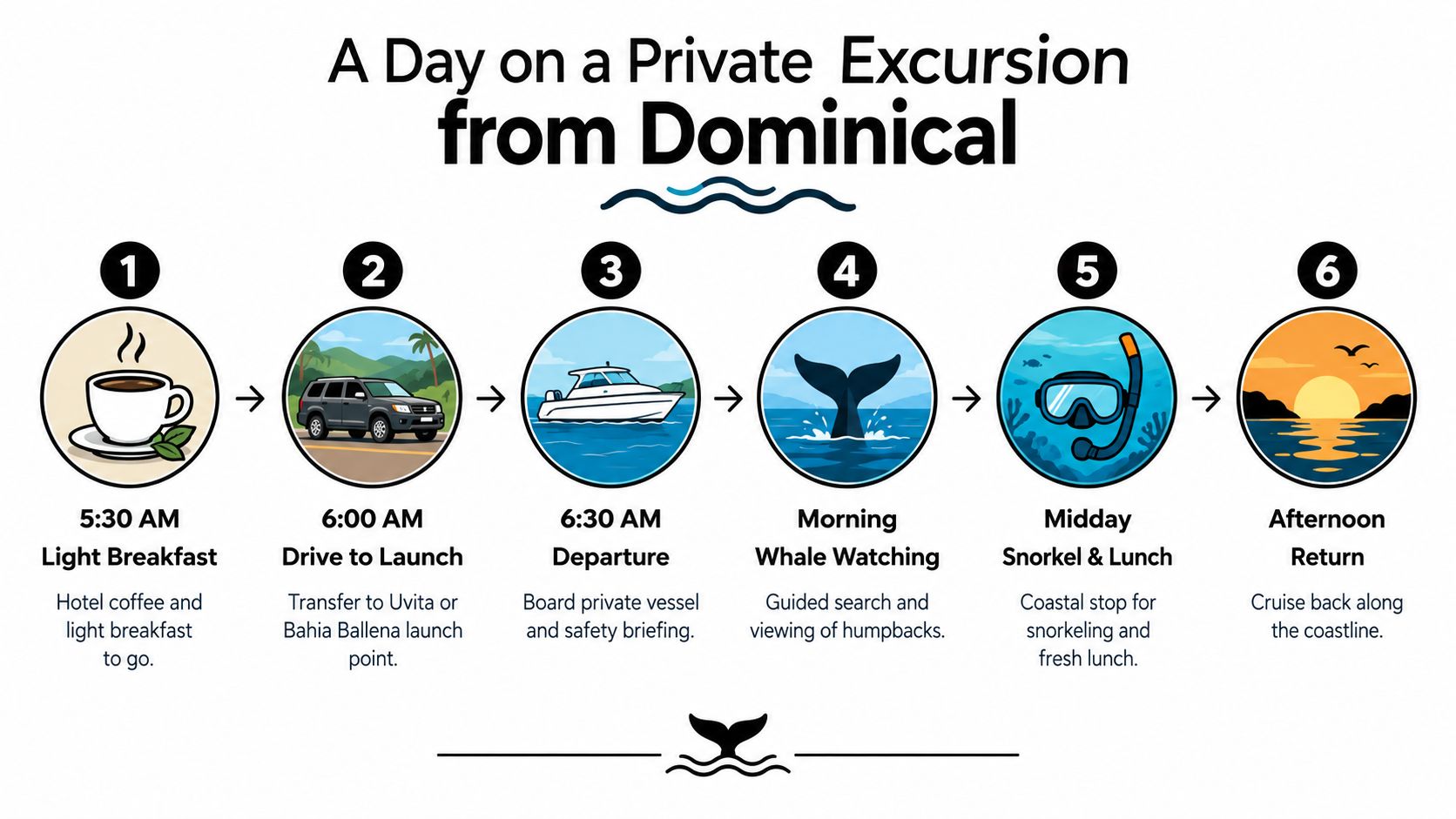 A timeline graphic depicting a daily private whale watching excursion schedule departing from Dominical, Costa Rica.