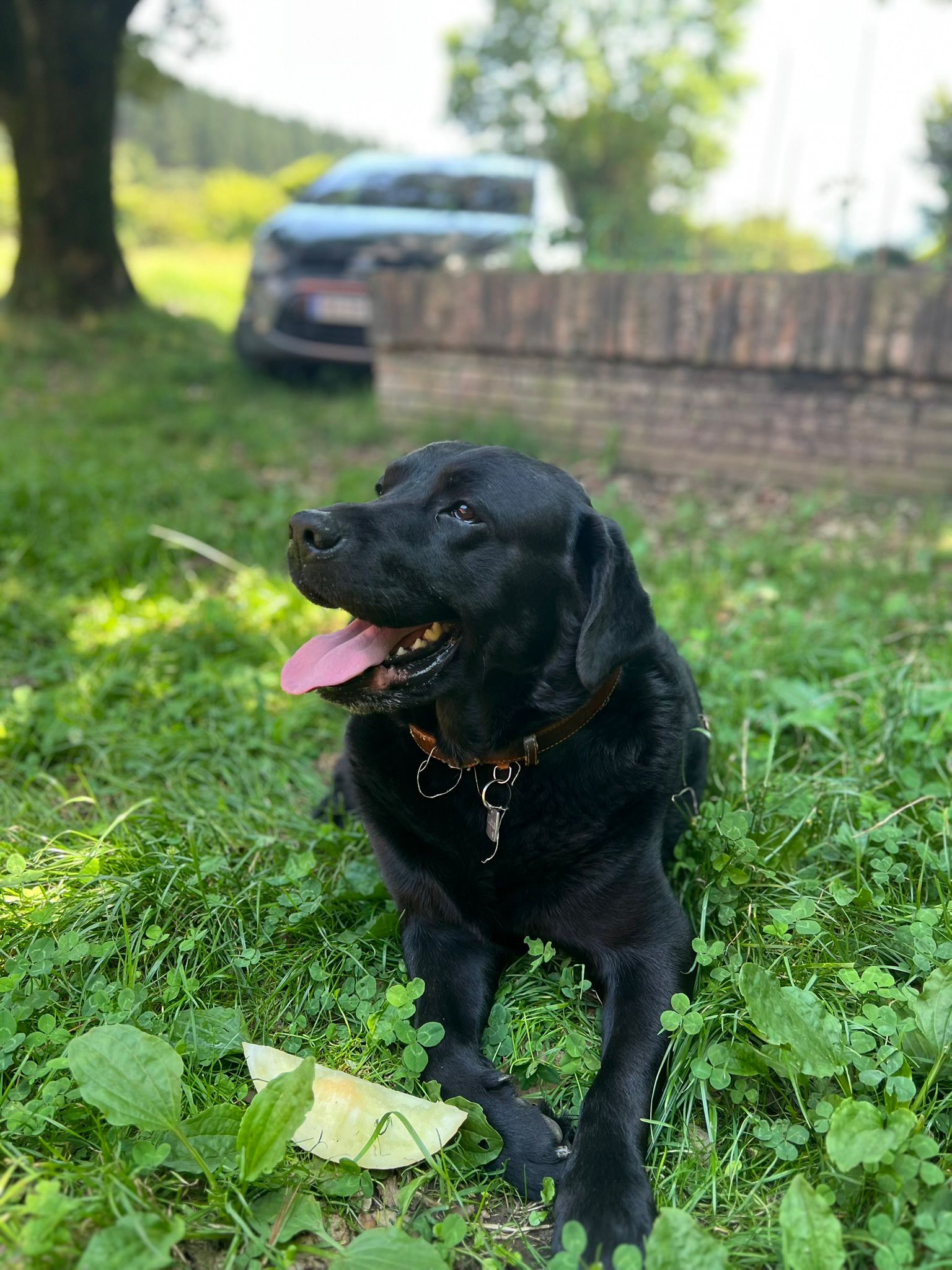 Profile image of success customer