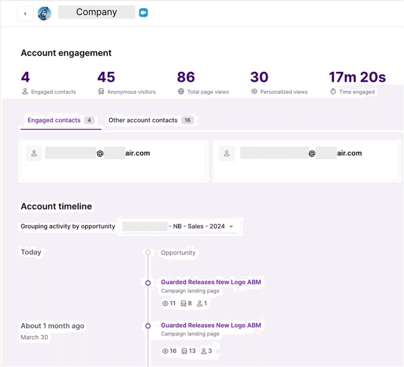 LaunchDarkly Image - Account Intelligence