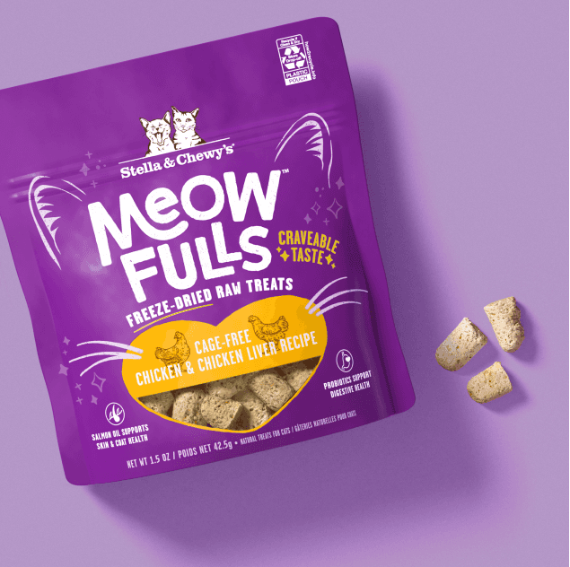 Stella & Chewy CGI 3D