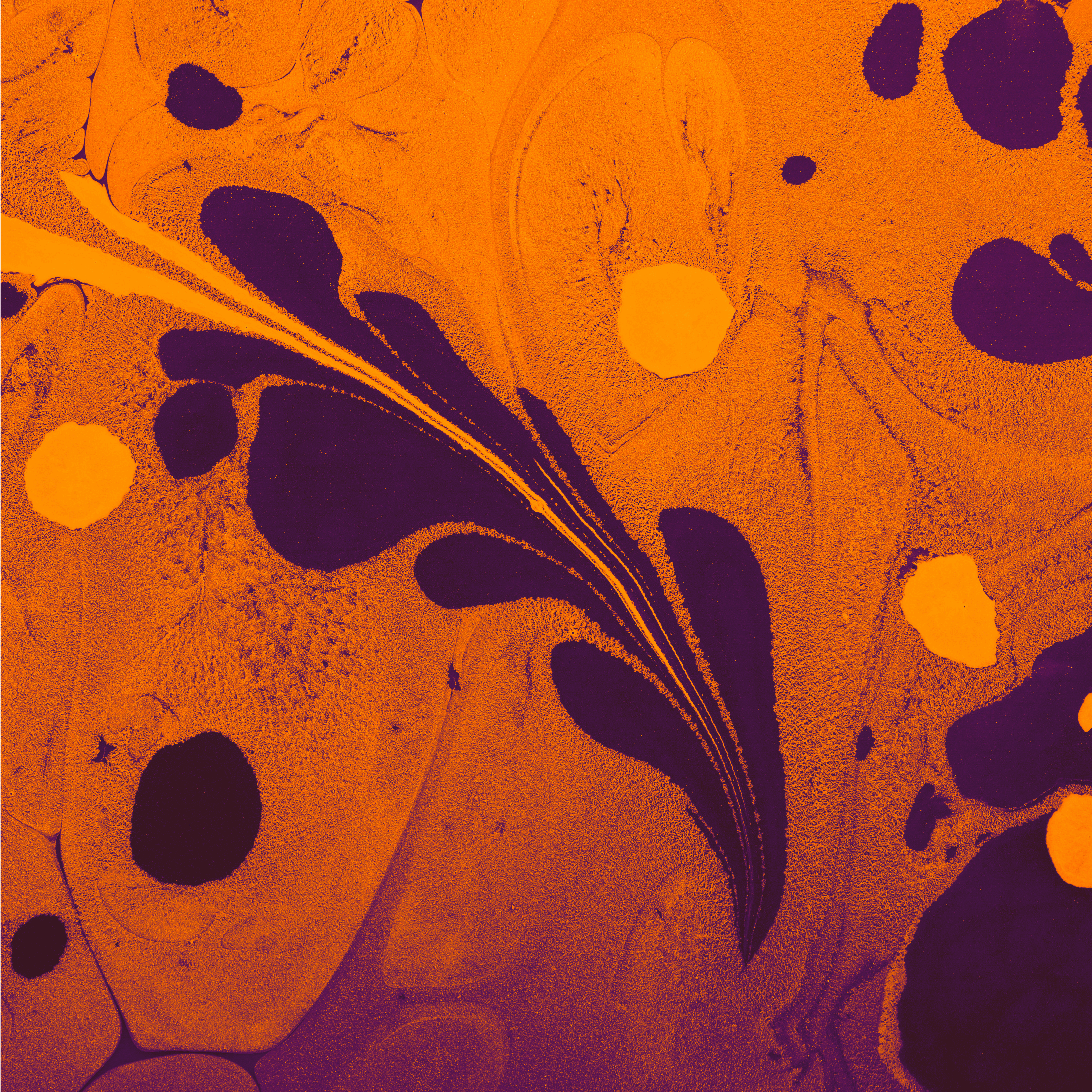 man sitting beside woman looking at a contract on DocuSign