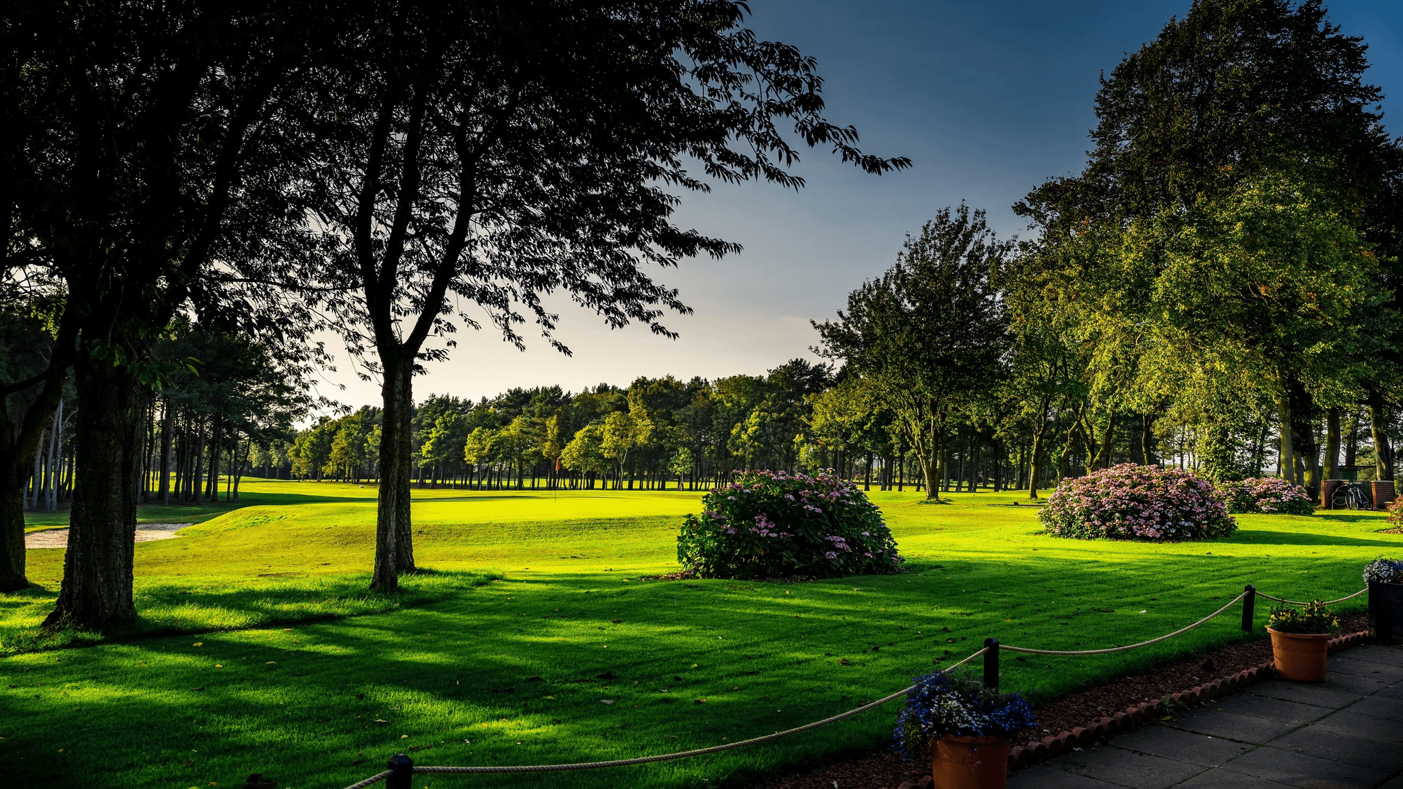 men's gray crew-neck t-shirt