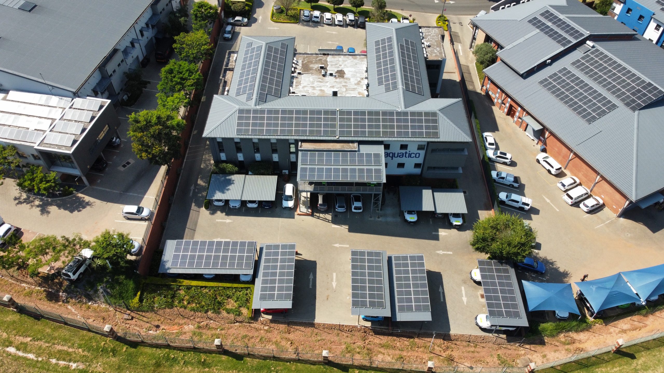 Scientist in laboratorium