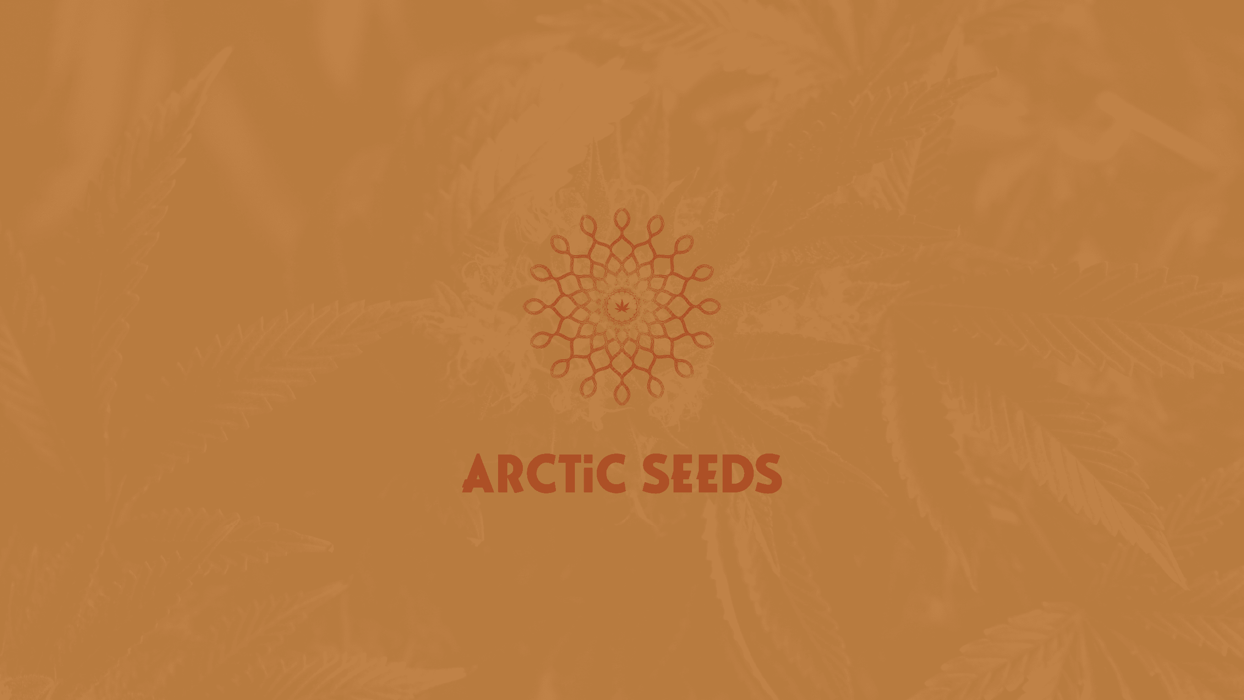 Logo design for Arctic Seeds