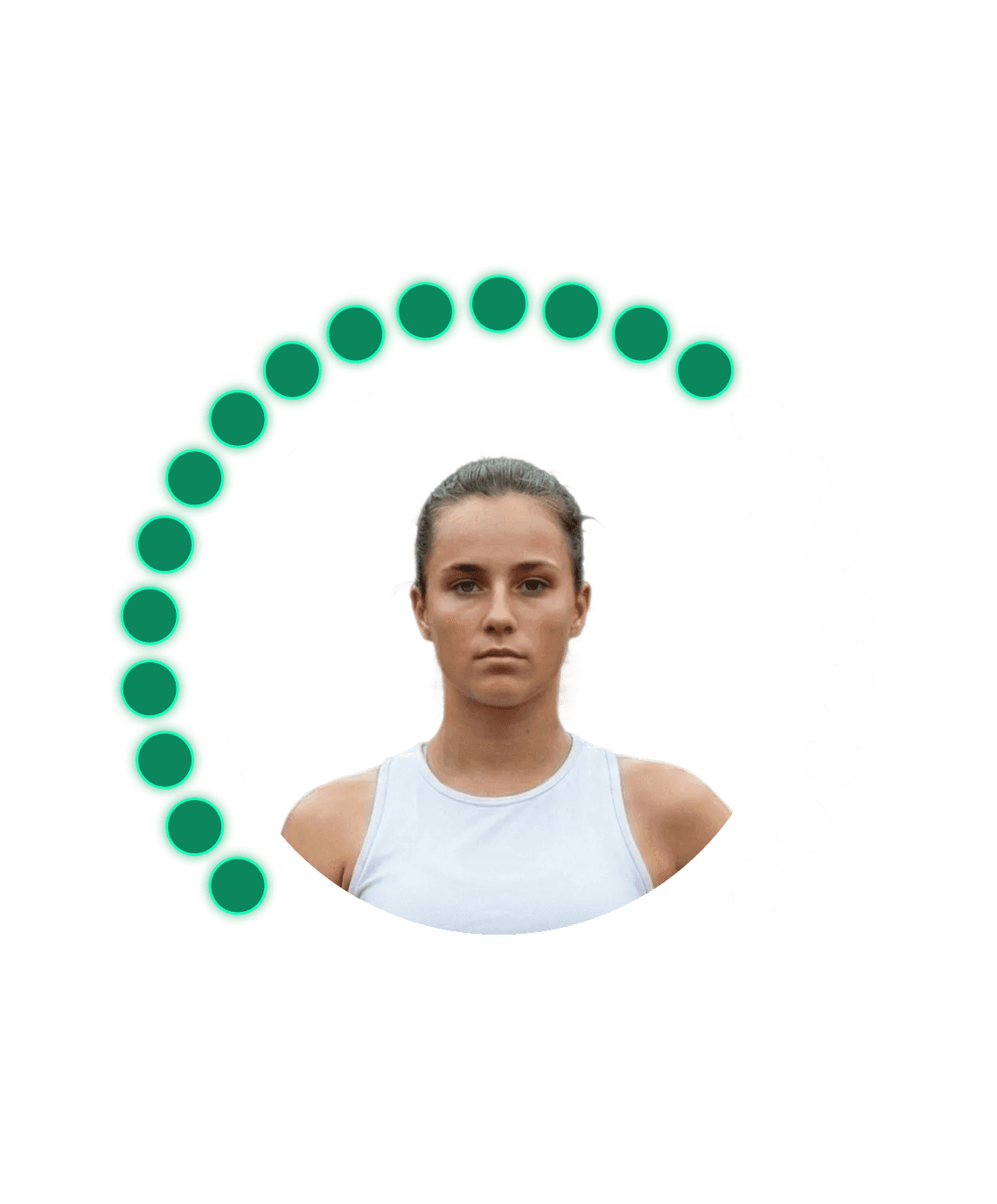 An image of Freelio's project ui