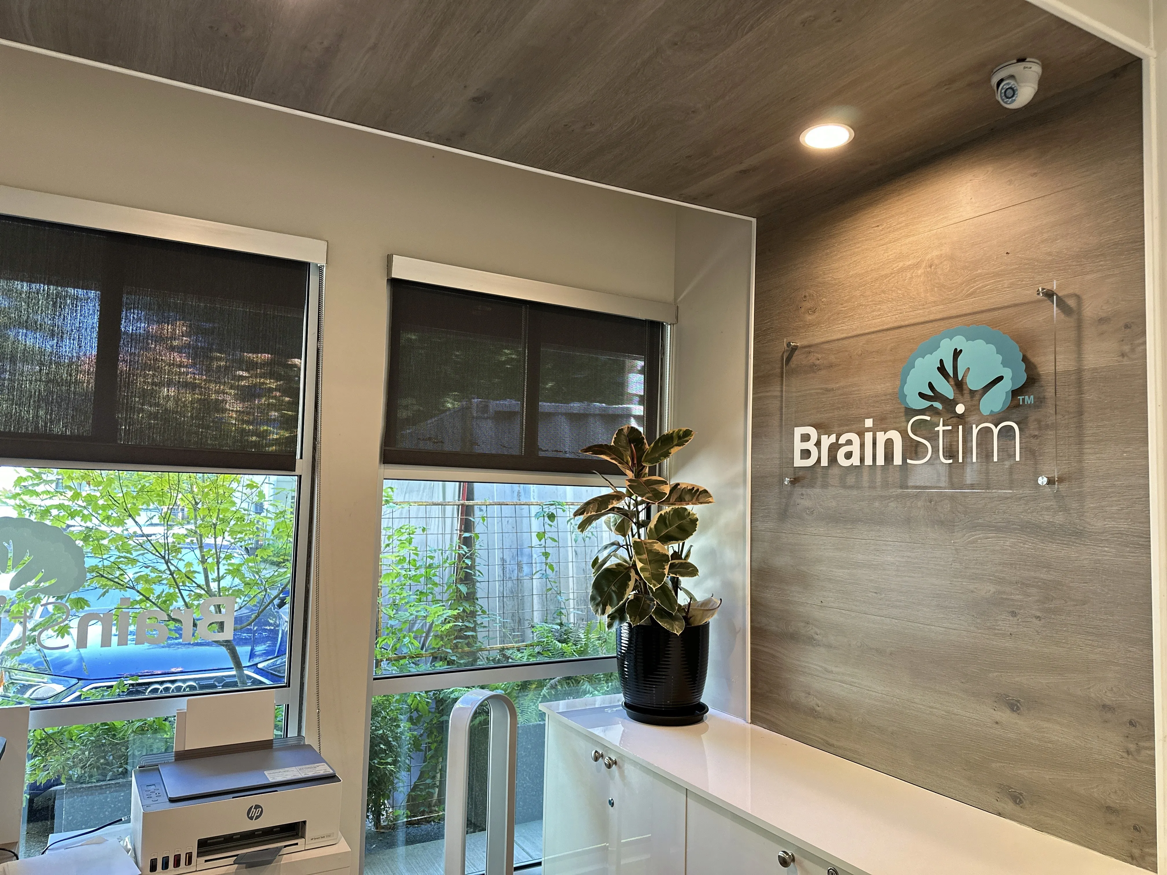 BrainStim logo signage mounted on a wood-paneled wall beside a window and potted plant